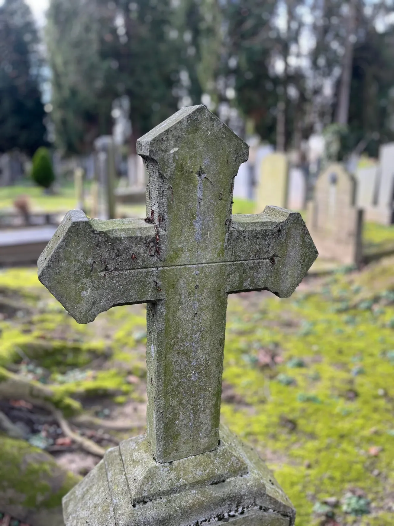 Overleden in Maastricht