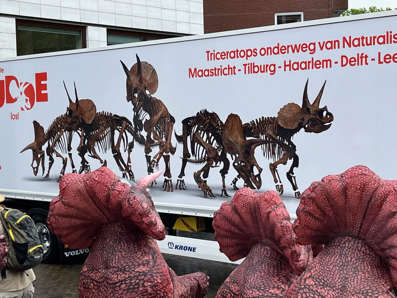 Komst dino net zo spannend als  intocht Sinterklaas