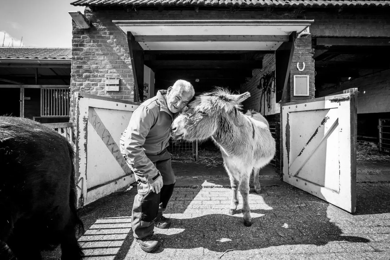 Zorgboerderij Daalhoeve is 'rugzakje' van Maastricht