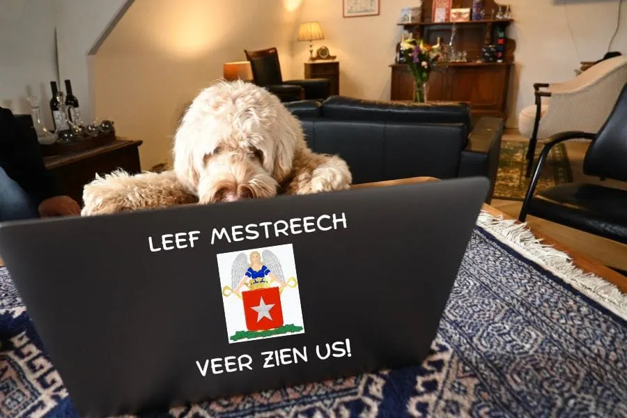 Gelukkig had Manon Fokke geen hoedje op