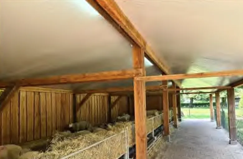 Schuilplek schapen is wolf in schaapskleren