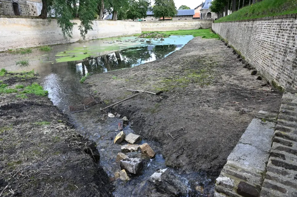 Bevers blokkeren vullen gracht kasteel Borgharen