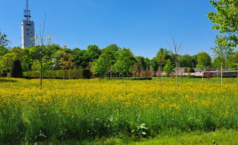 Veel reserveringen natuurlijker begraven Tongerseweg