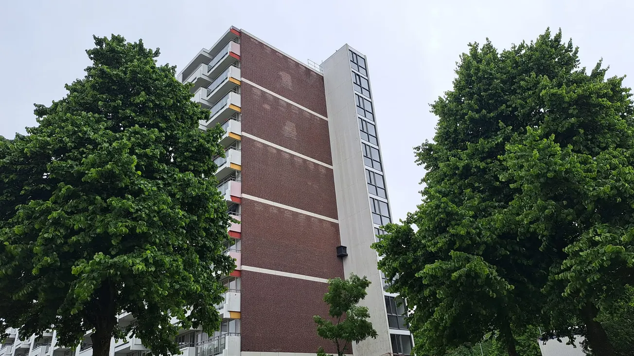 In Daalhof lokroepinstallatie voor vleermuizen