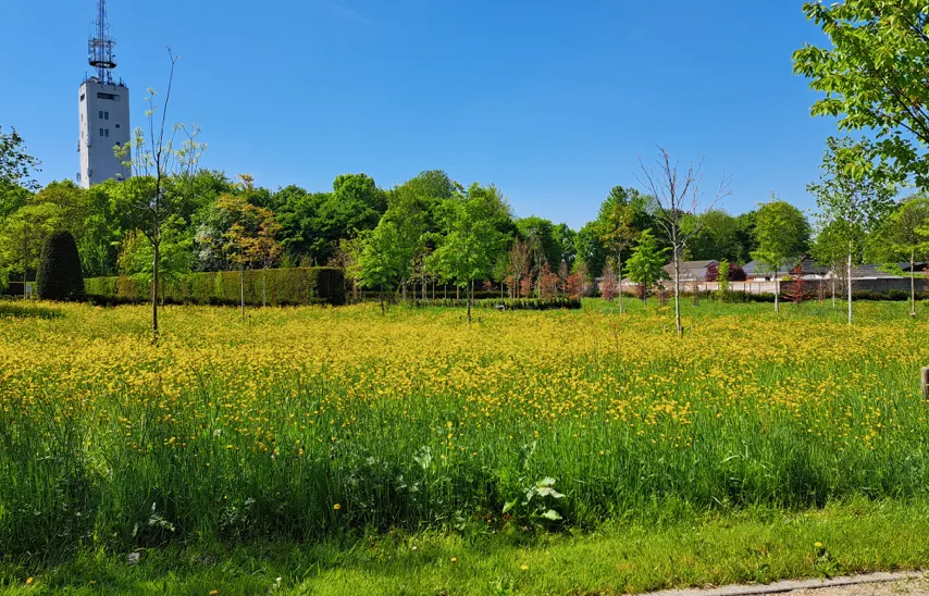 Is kort gras nog van deze tijd?