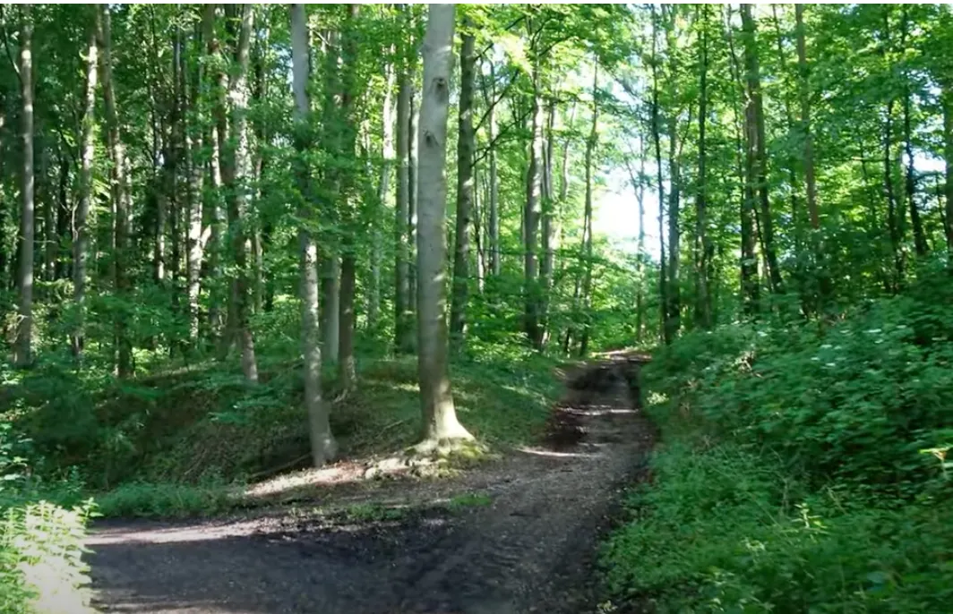 SPM wil bankjes voor 'walk & talk' wandelnetwerk
