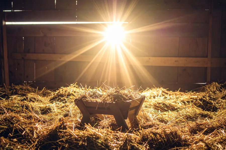 Ton subsidie voor live tv-programma in december