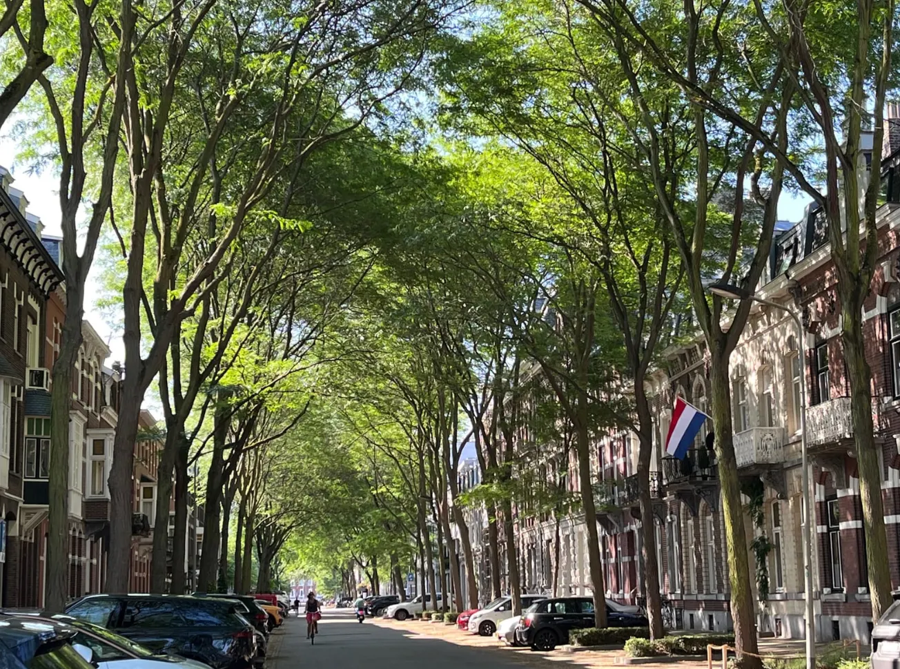 Bomen in plaats van parkeren