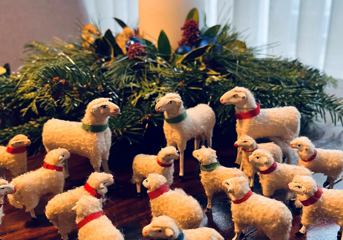 Sjäöpkes en zoe mie