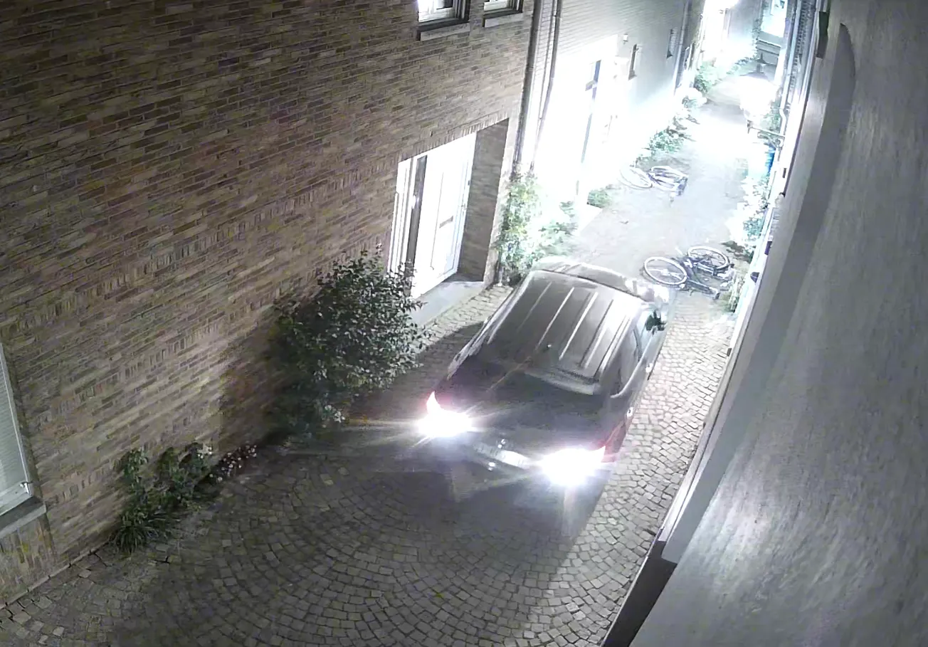 Video: Belg richt ravage aan in Kaleminkstraat