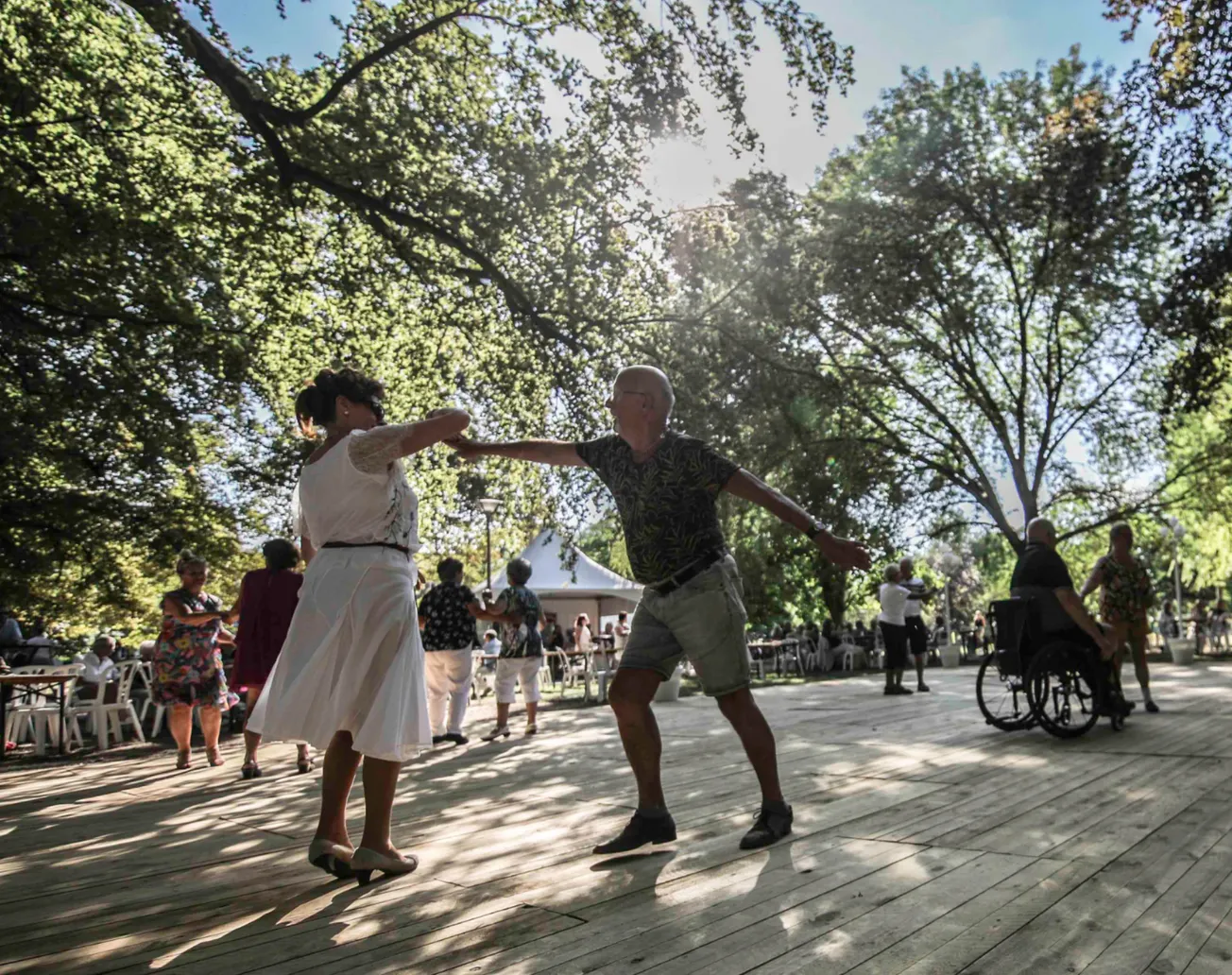 Nederlandse Dansdagen – Dansen (terug) in het Park