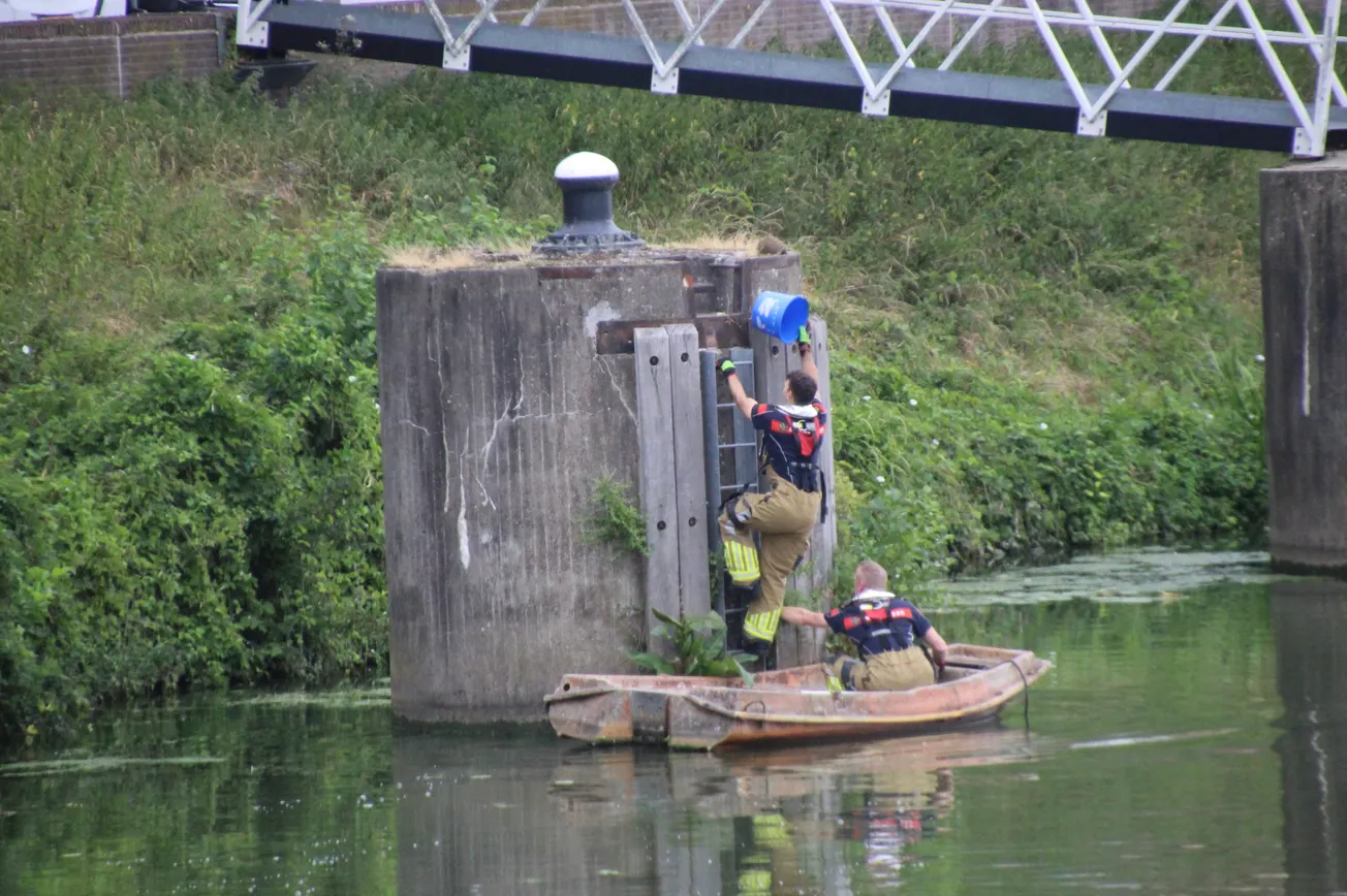Brandweer rukt uit voor egel