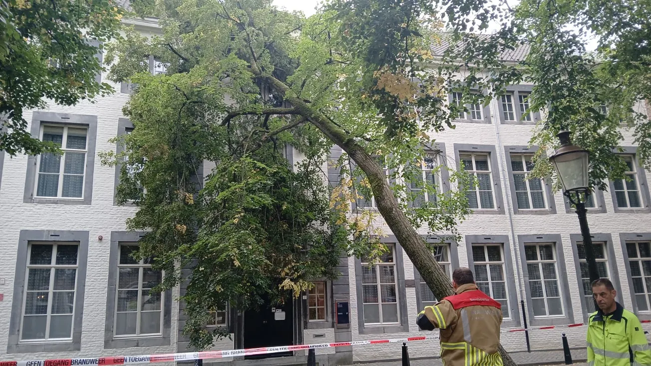 Boom omgewaaid op de Looiersgracht