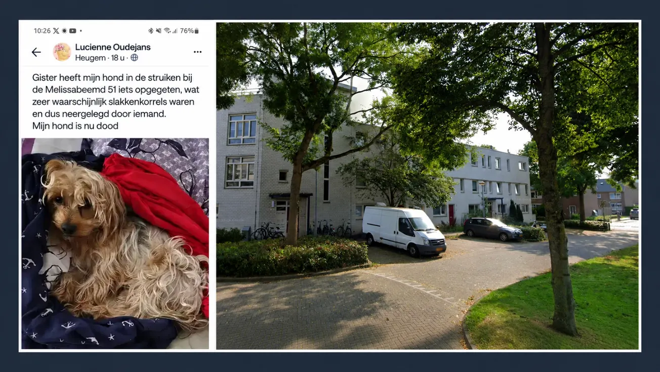 Medeleven op buurtapp Heugem na dood hondje