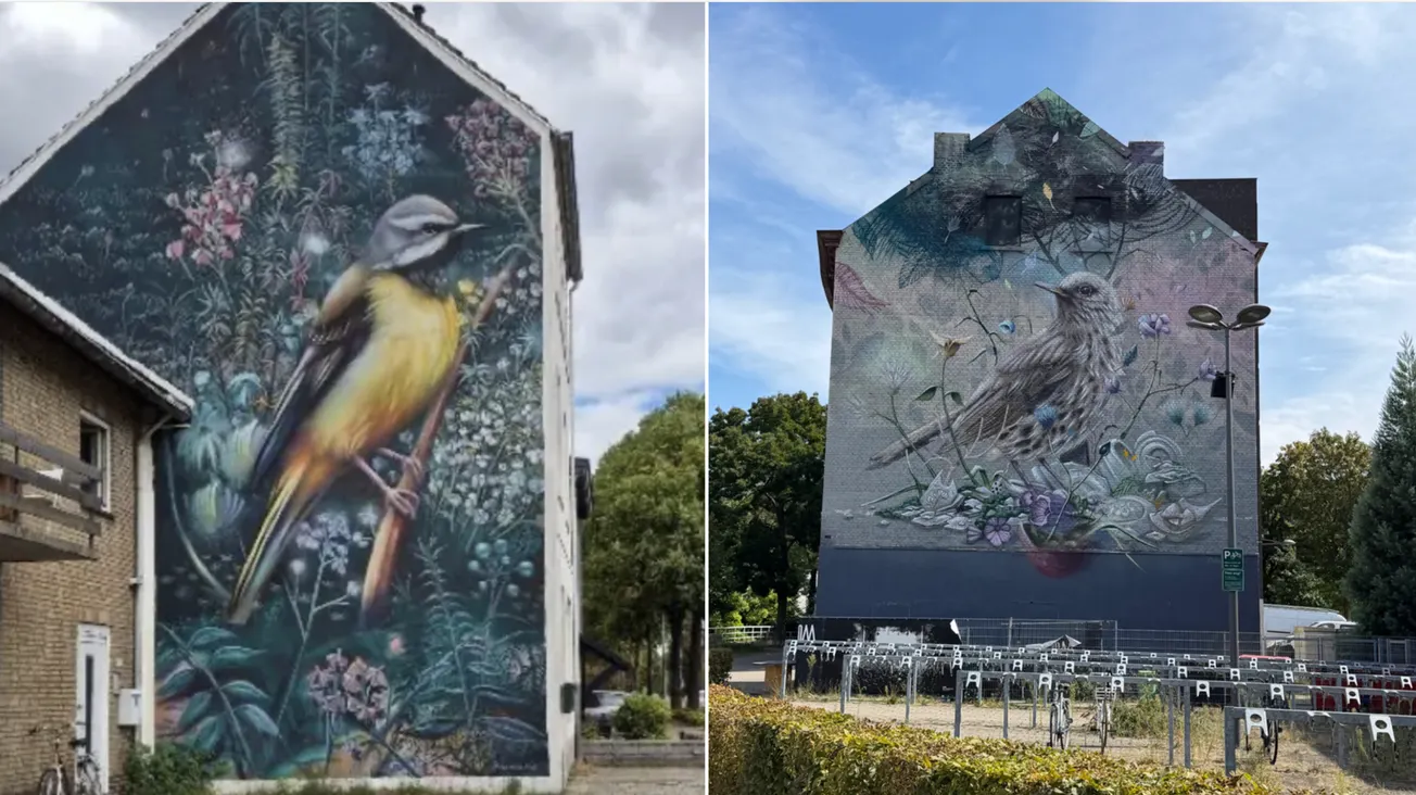 Murals: kunstenaar pleit voor meer minimalisme buitenkunst