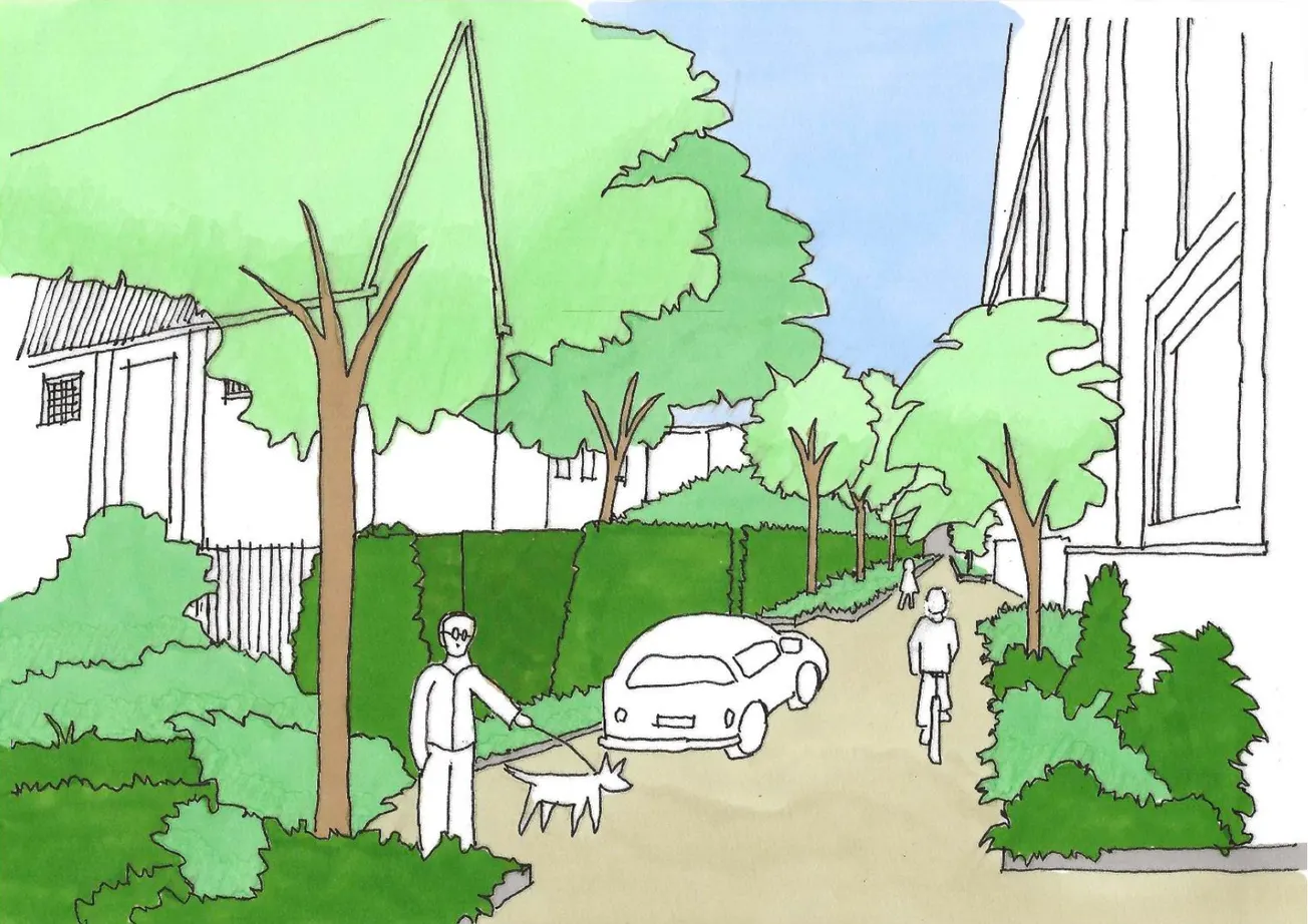 Bewoners schakelen zelf experts in: Bomen kunnen wèl in Sphinx Zuid