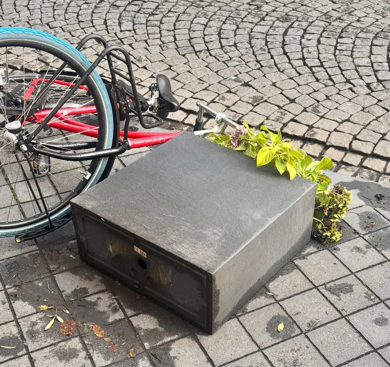 Groen in Rechtstraat meteen al vernield