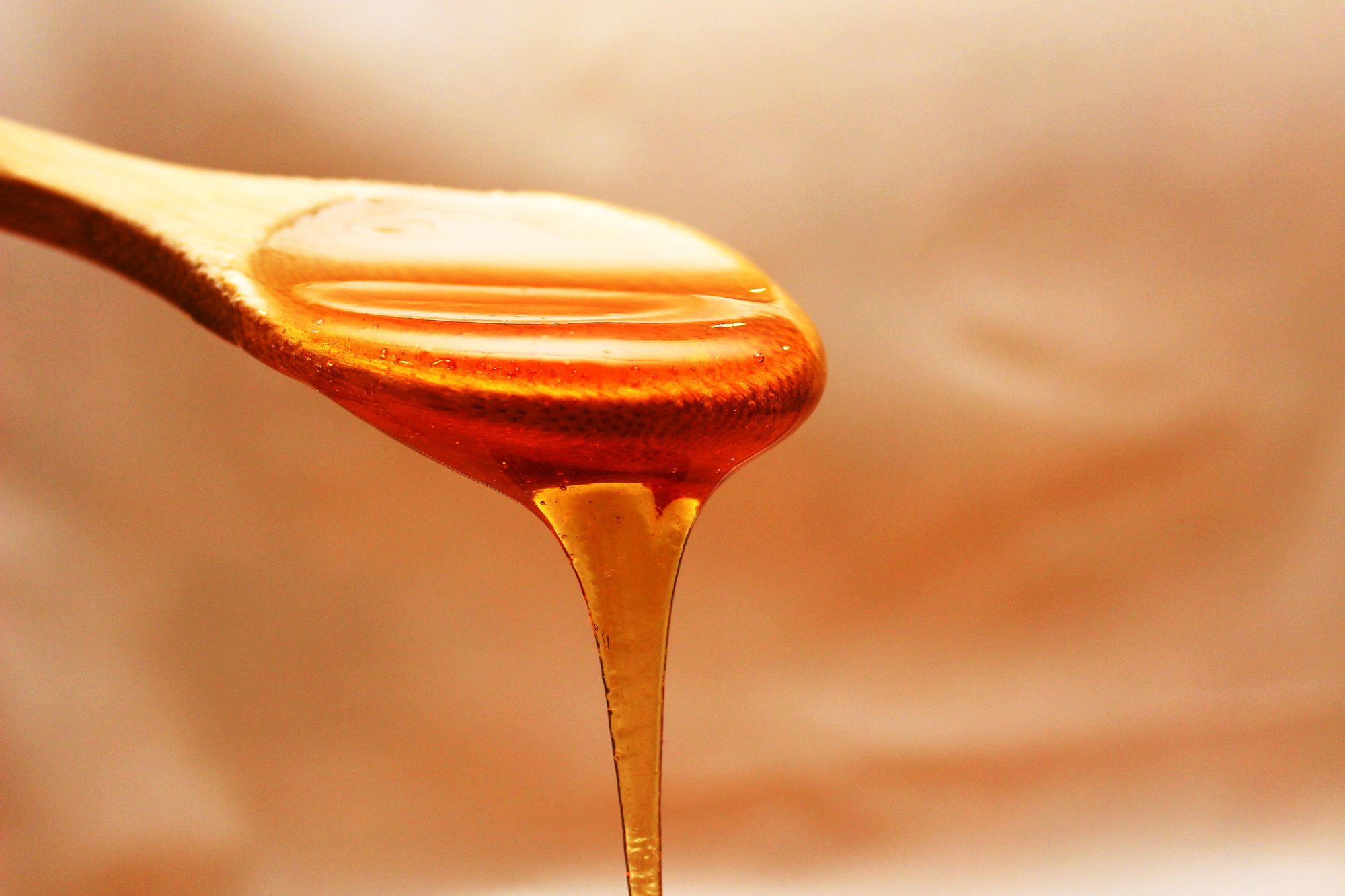 Honey Container