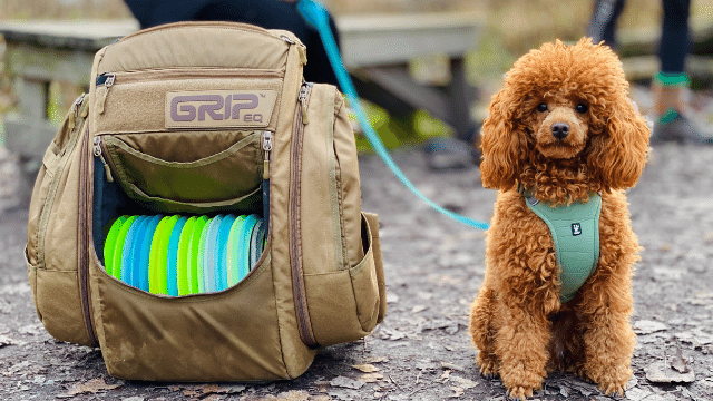 Best Disc Golf Shoes