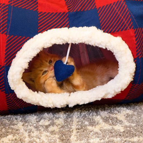 best cat tunnel