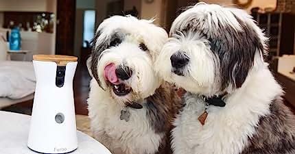 wopet automatic pet feeder