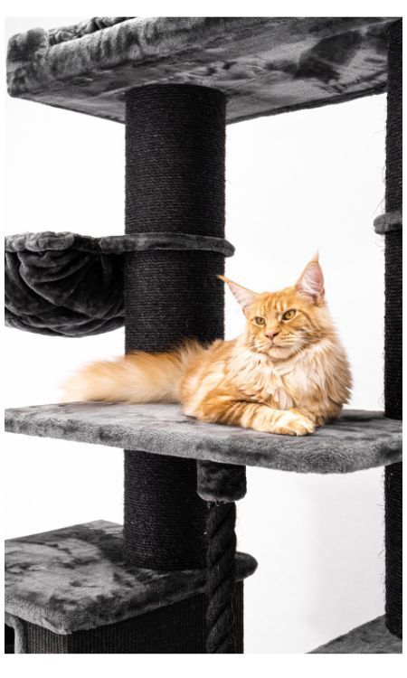 Floor to Ceiling Cat Tree