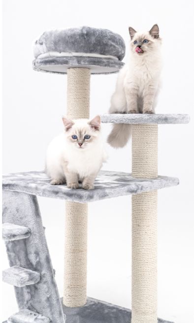 Floor to Ceiling Cat Tree