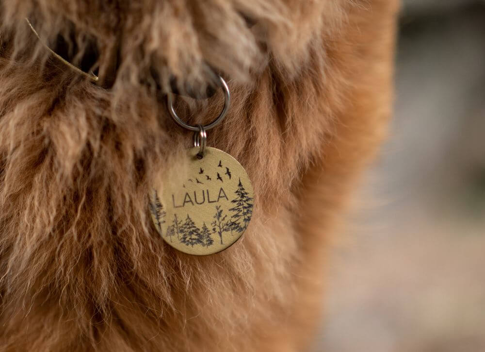 Cute dog tags