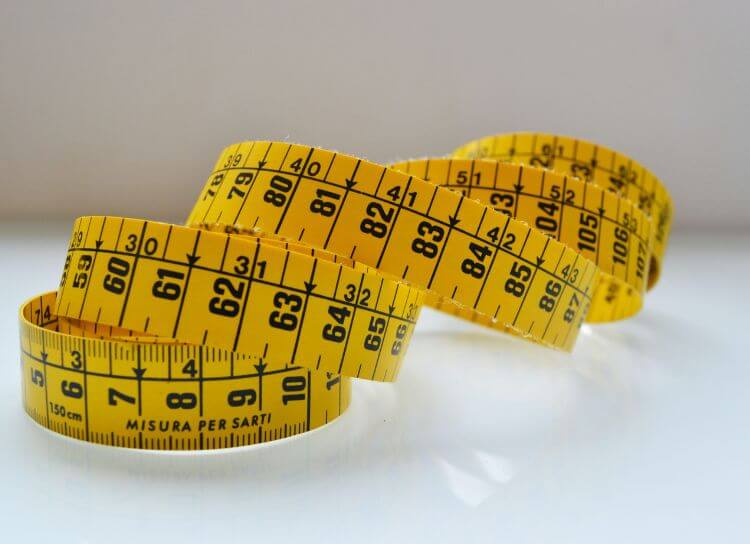 How Tight Should A Dog's Collar Be?