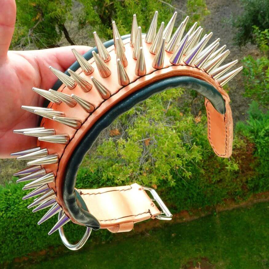 spiked dog collar, brown leather and gold spikes