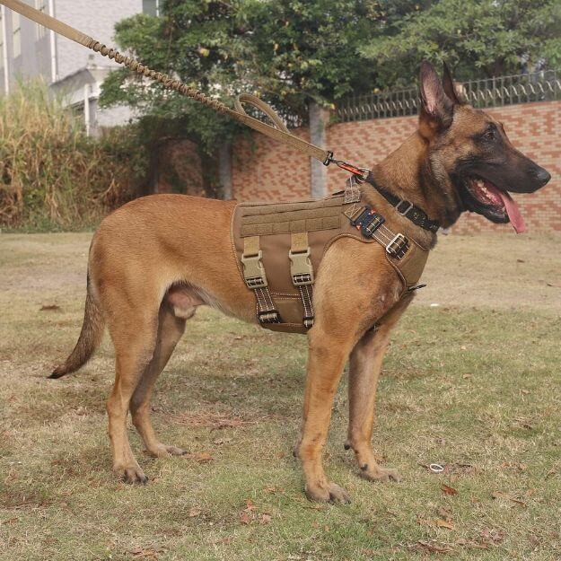 Tactical Dog Harness
