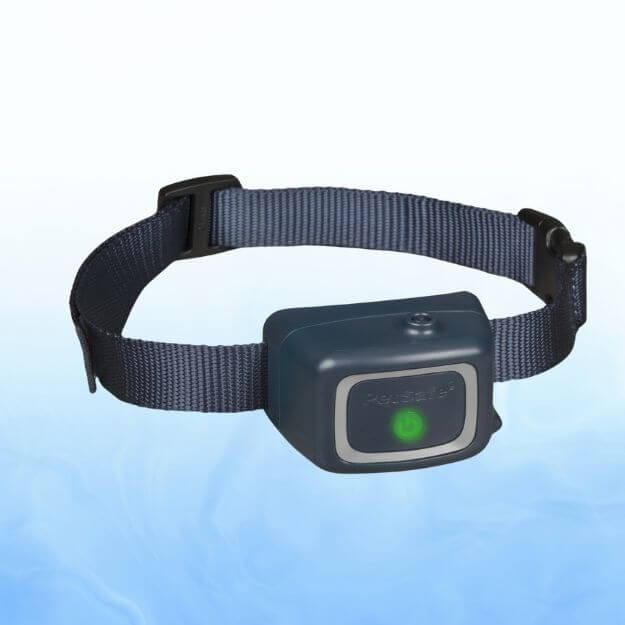 generic dog collar water proof small dog black