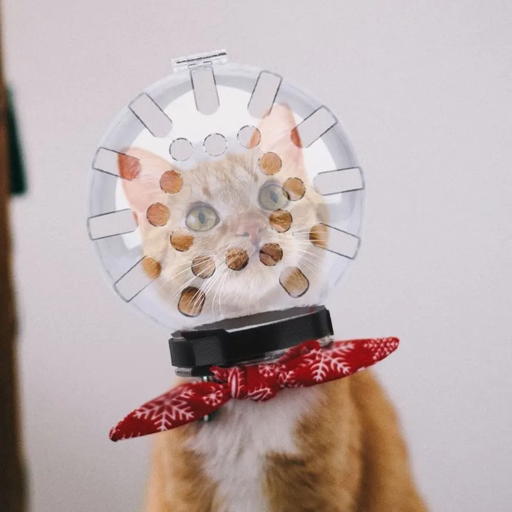 Feline Fun & Safety: CAT Muzzles Made Easy!