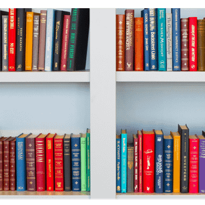Montessori Bookshelf: Perfect Blend of Style & Smarts!