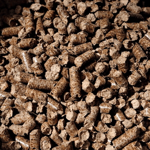 5 Reasons to Get Smokin' -The Best Smoke Pellets To Buy!