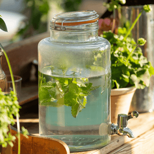 Quench your Thirst: Impressive 5-Gallon Water Jugs!