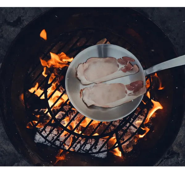 Upgrade Your Grilling Game with A FIRE PIT GRILL!