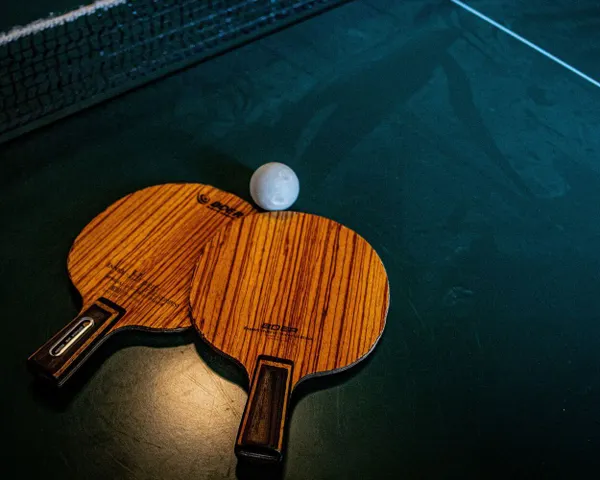 Master The Spin: Unveiling The Ultimate Ping Pong Paddle