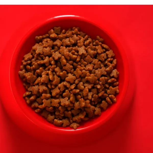 Discover the WOPET Automatic Pet Feeder!