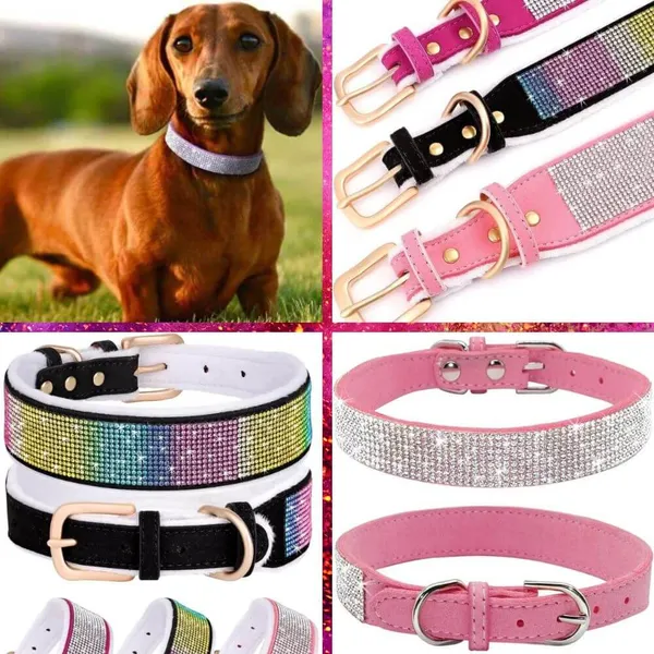 Dazzling Best Friend: Luxurious World of Diamond Dog Collars
