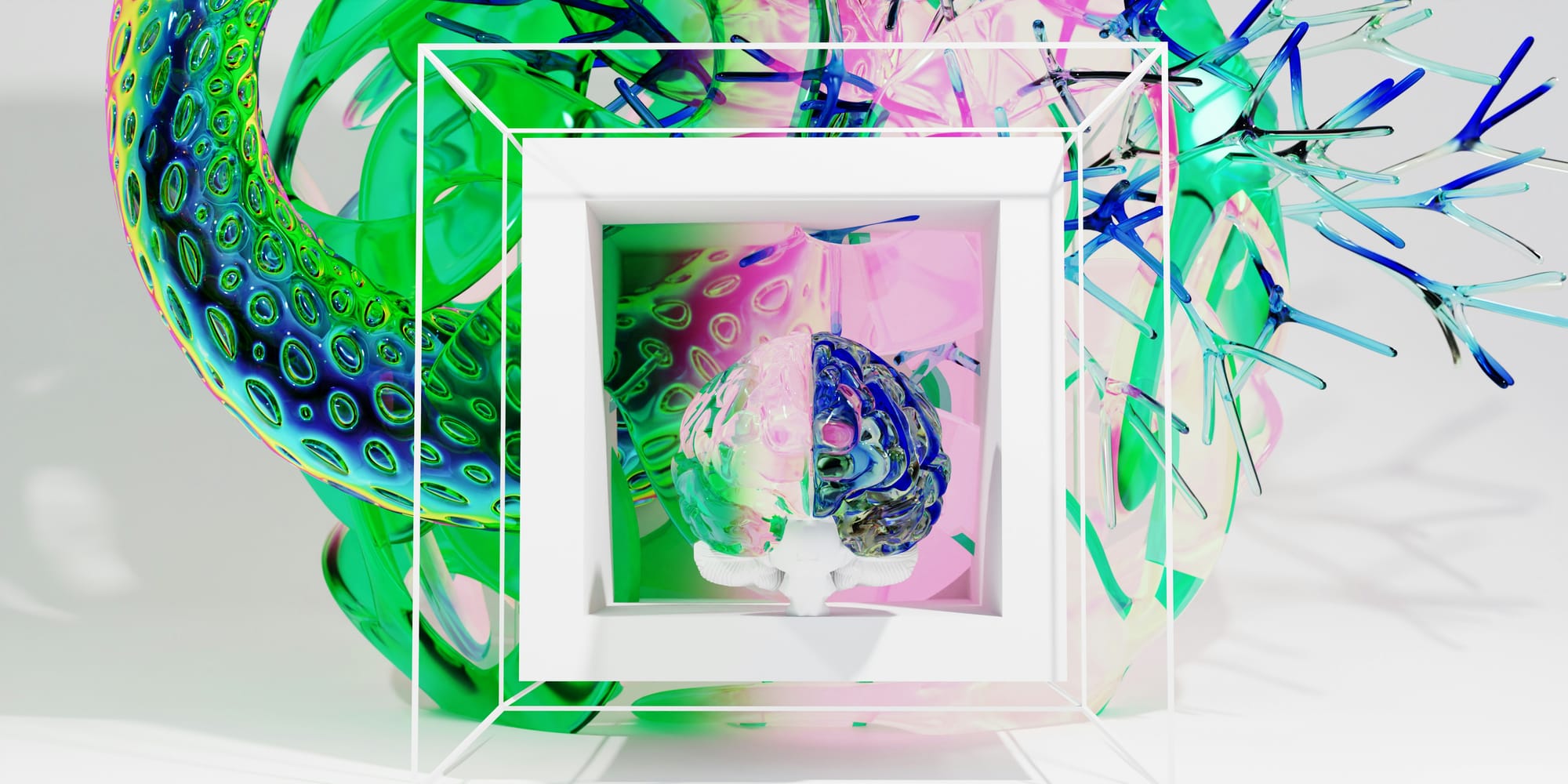 Experiences Change Our Brains