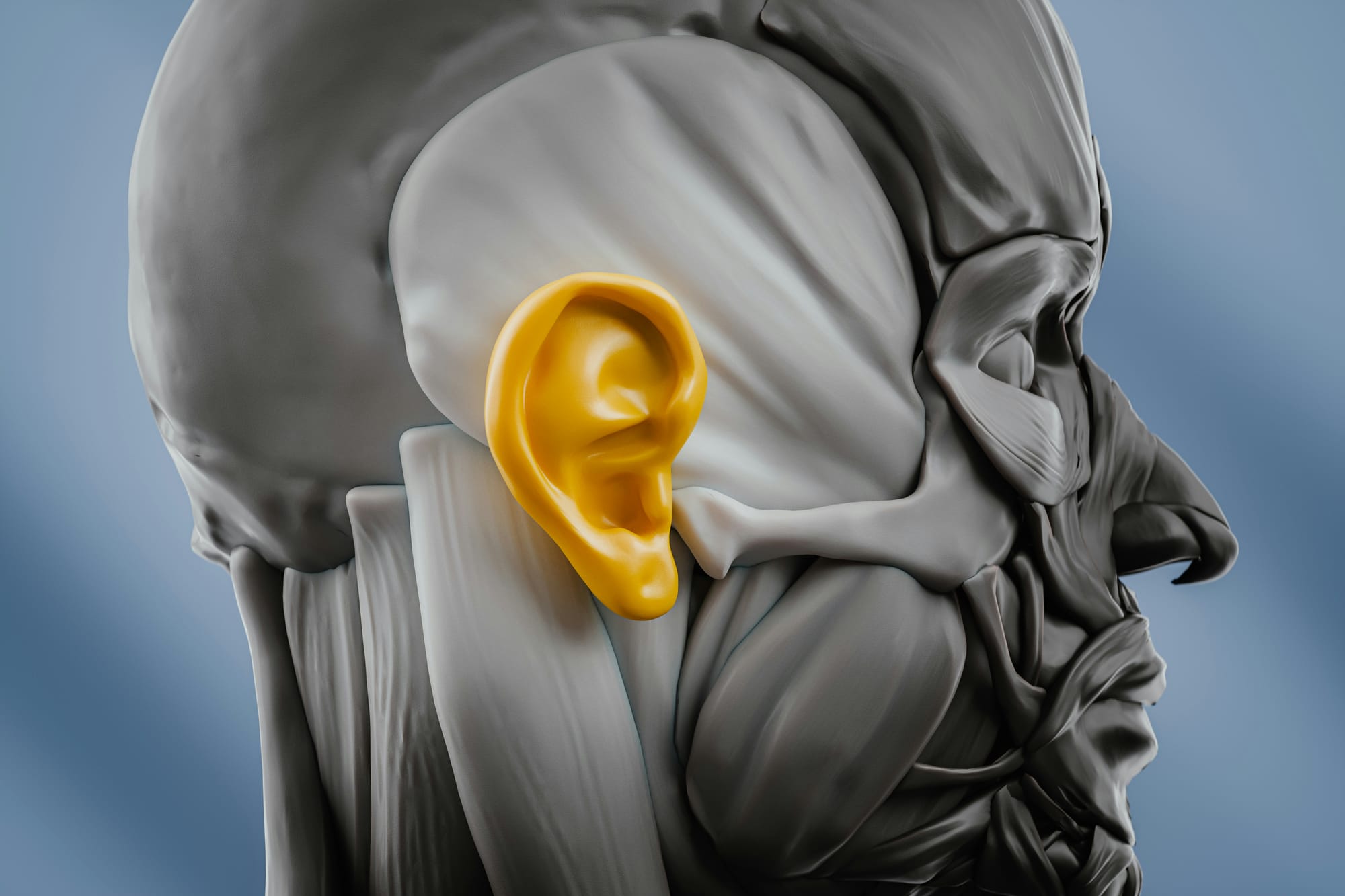 How Becoming a Better Listener Can Transform Your Career