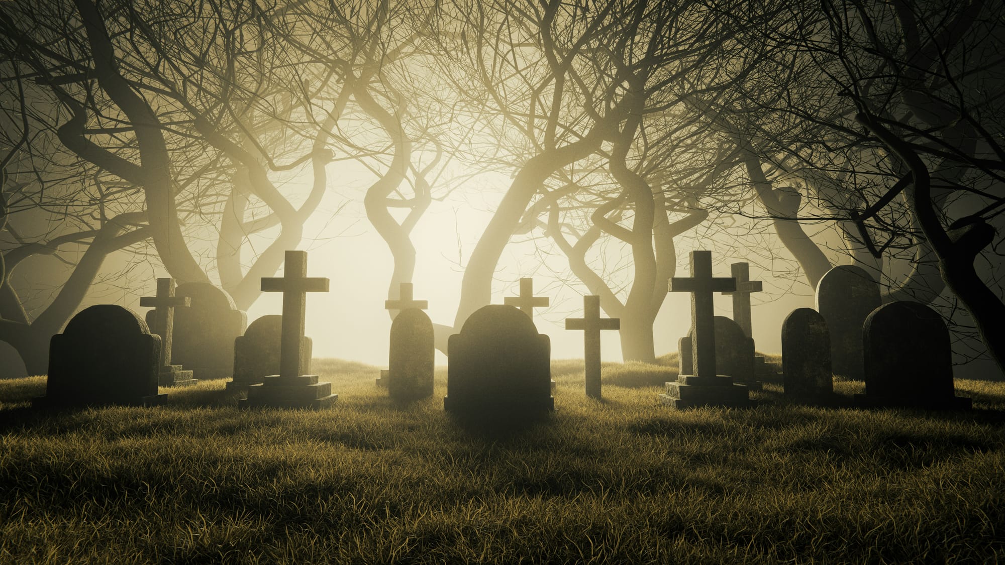 Your Team Is Working Hard –But Are Their Projects Already Dead?