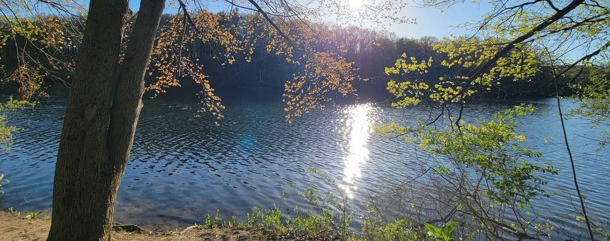 ​The Journey to Nature’s Grace.