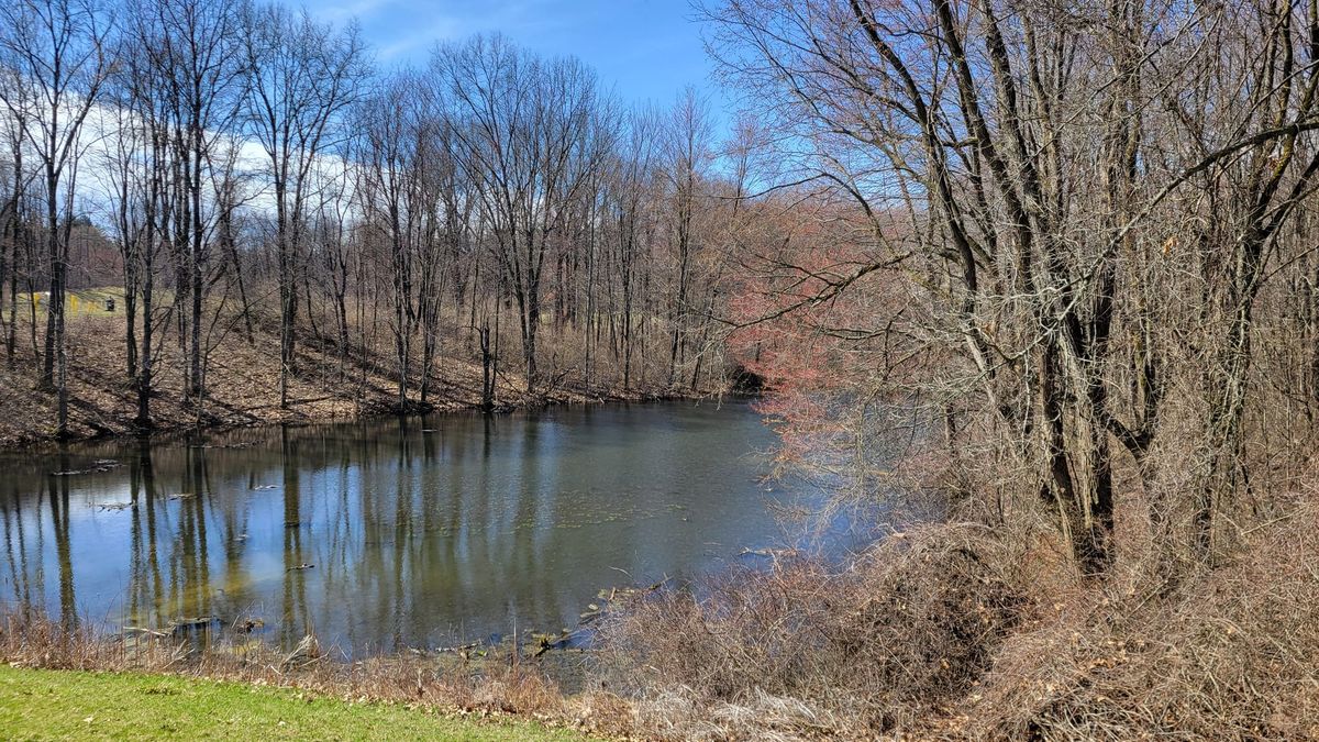 Gentle Persuasion: From Walks to Hikes