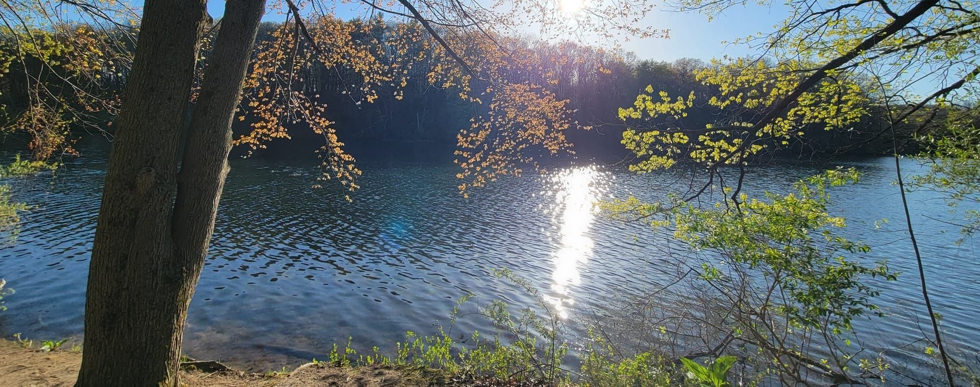 ​The Journey to Nature’s Grace.