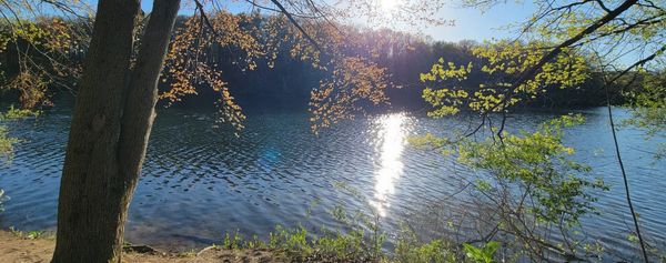 ​The Journey to Nature’s Grace.