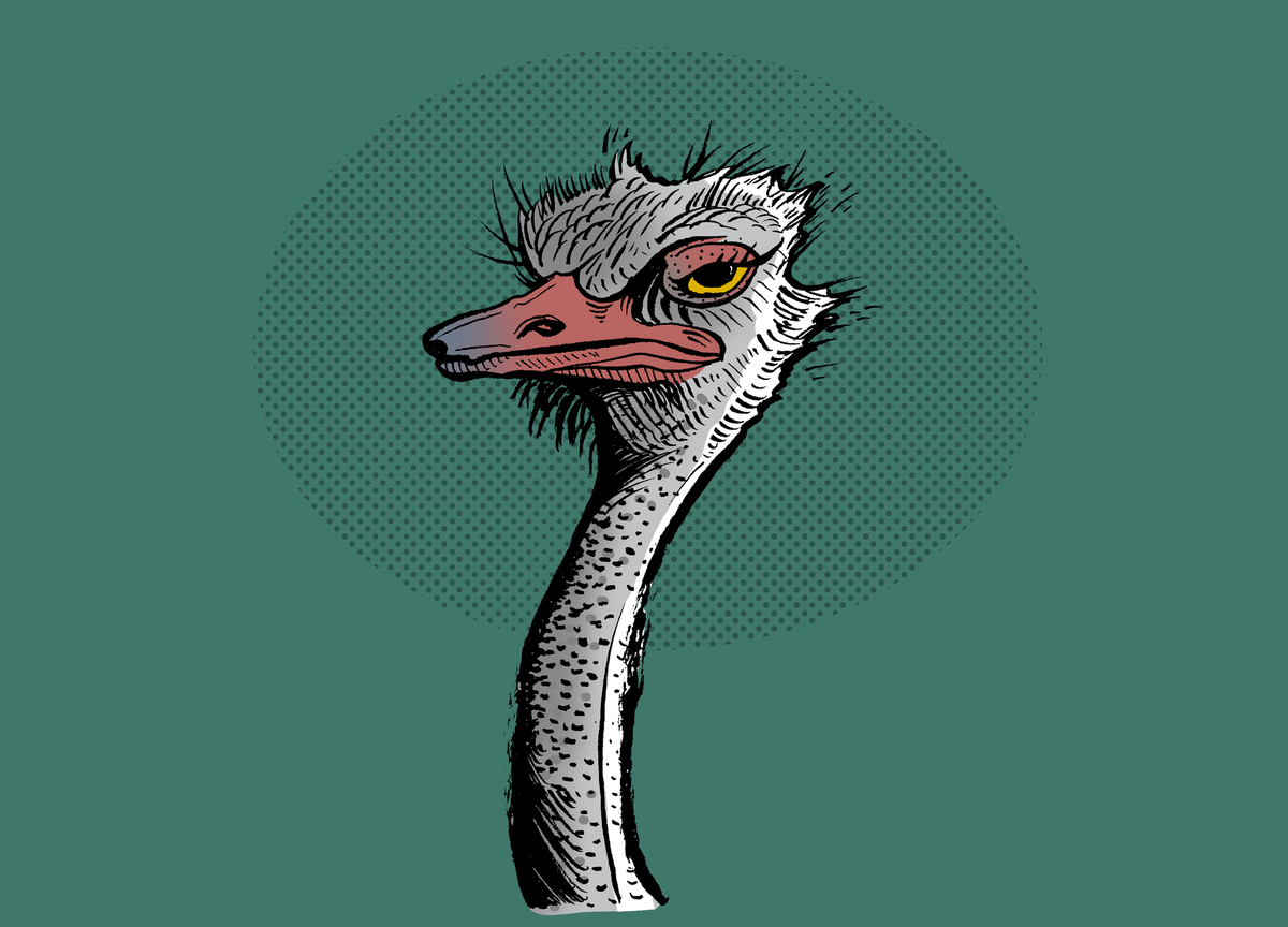 Ostrich-Holed