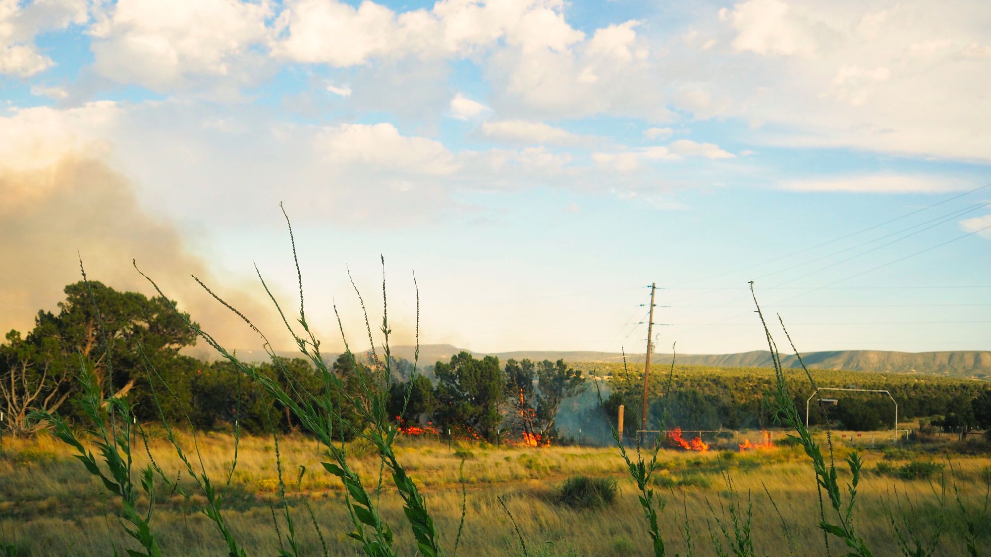 A fire grows beneath a power pole and amongst scrub brush and trees to the left of a gate to a ranch.
