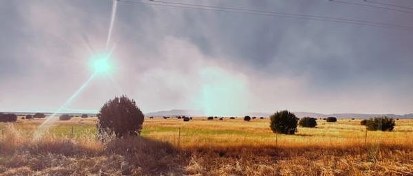 New Mexico Declares Wildfire Awareness Month as Torrance County Residents Brace for Another Dangerous Season